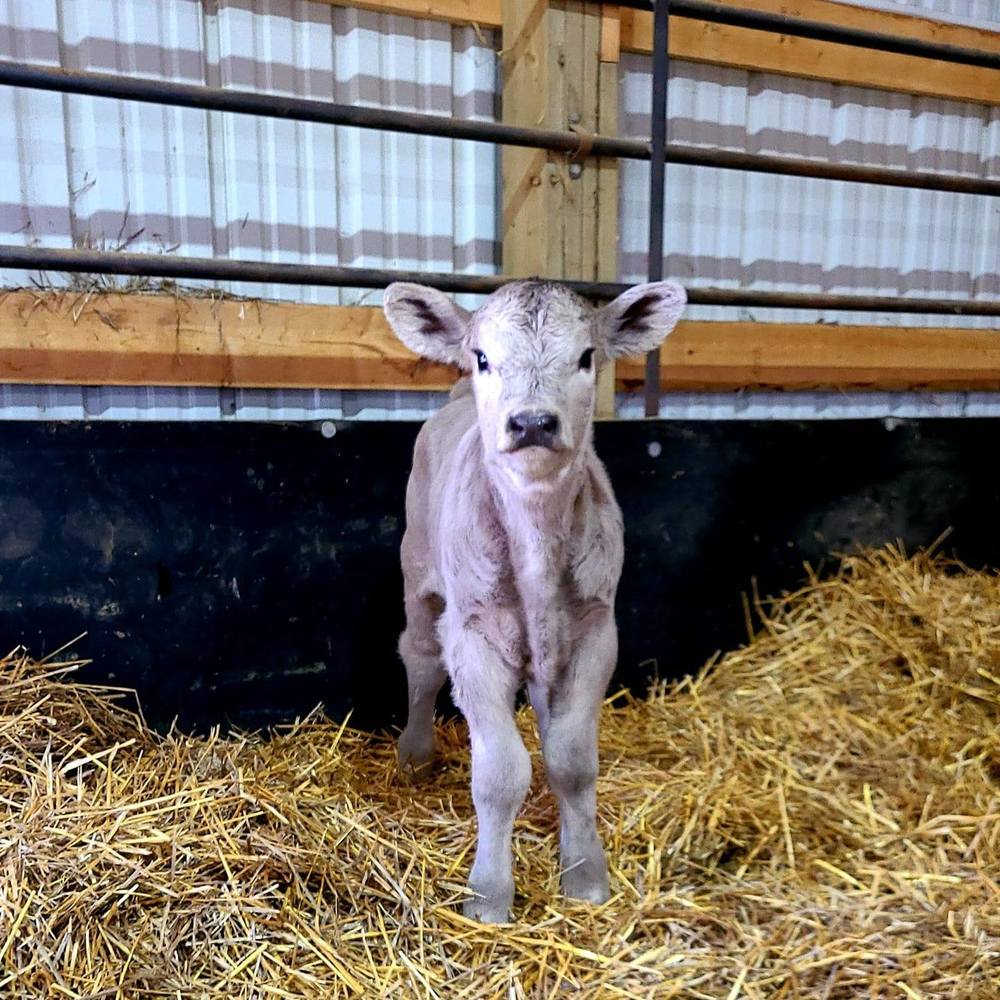 Meet your Posher, Lorrissa